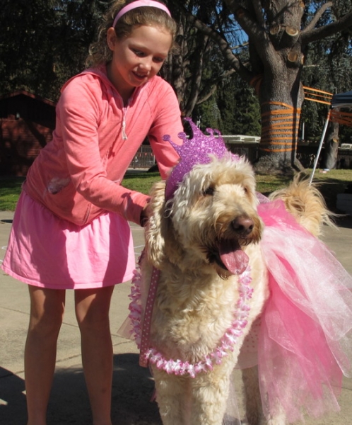 Alison & Oz at DOG-O-WEEN 1