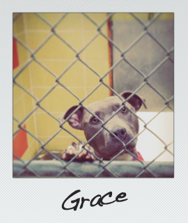 Grace