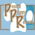 PPR Logo