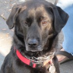 Alistair from Taiwan