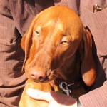 Kaya has a cute face!!