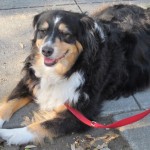 Mo waiting patiently