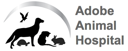 Adobe Animal Hospital