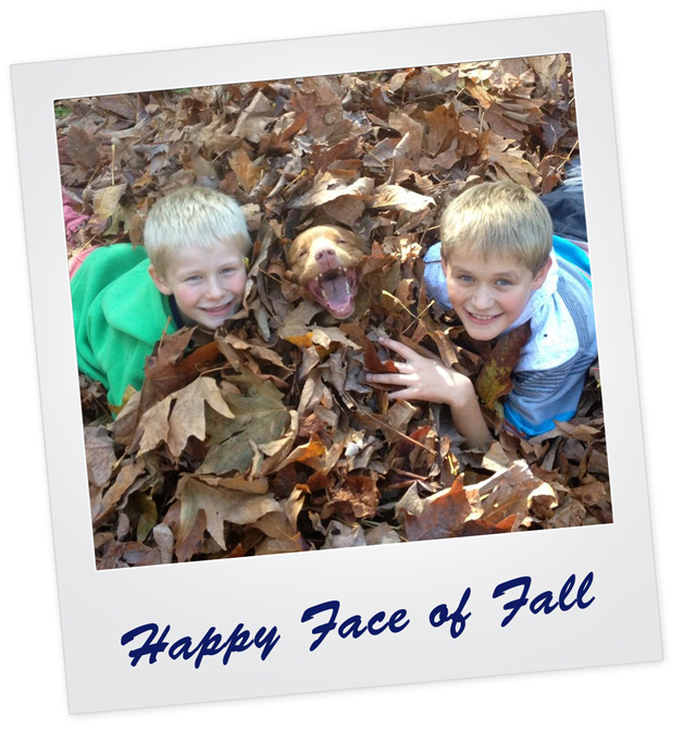 Happy Face of Fall
