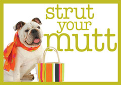 strutyourmutt