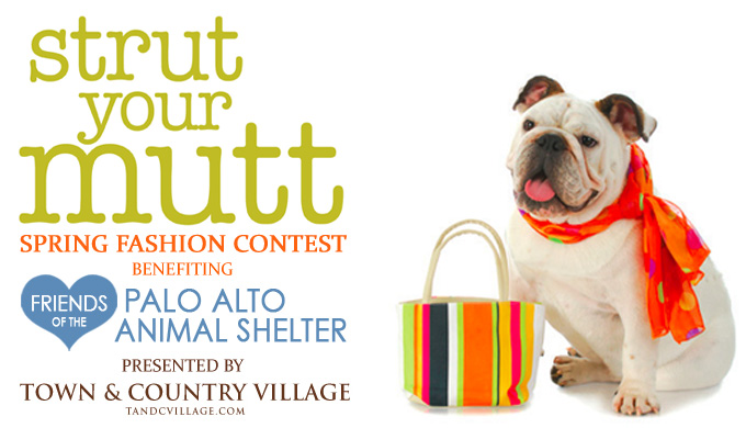 Strut Your Mutt Spring Fashion Contest at Town and Country Village